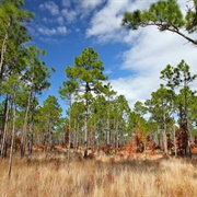Trent Woods, North Carolina