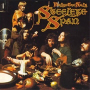 Below the Salt - Steeleye Span