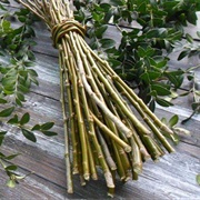 Willow Twigs