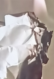 Fire: What Makes It Burn (1952)