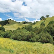 Crockett Hills Regional Park