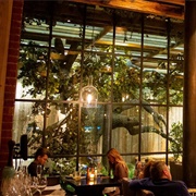 Shinok, Moscow, Russia