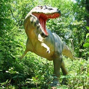 Museum of Life and Science, North Carolina