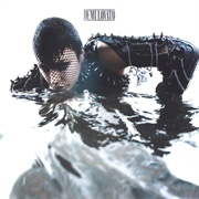 SKIN OF MY TEETH - Demi Lovato