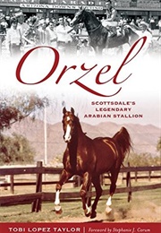 Orzel: Scottsdale&#39;s Legendary Arabian Stallion (Tobi Lopez Taylor)