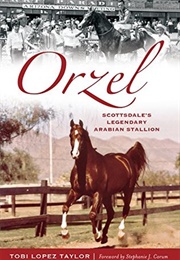 Orzel: Scottsdale's Legendary Arabian Stallion (Tobi Lopez Taylor)
