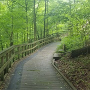 Gone on a Nature Walk