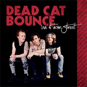Dead Cat Bounce - Live at Vicar Street