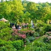Morris Arboretum of the University of Pennsylvania