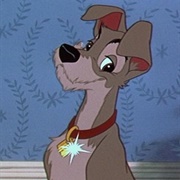 Tramp (Lady and the Tramp)