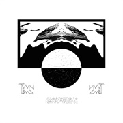 Twin Limb - Anything Is Possible and Nothing Makes Sense