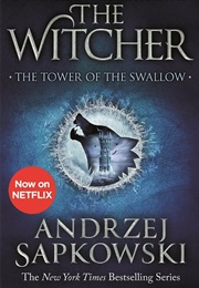 The Tower of the Swallow (The Witcher, #4) (Andrzej Sapkowski)