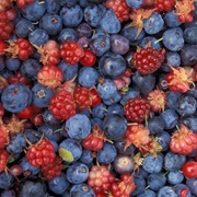 Wild Berries
