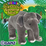 Signature Endangered Asian Elephant