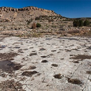 Picketwire Canyonlands, Colorado