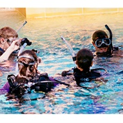 Scuba Diving Lessons