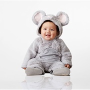 Baby Mouse