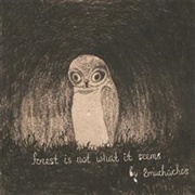 2Muchachos - A Forest Is Not What It Seems