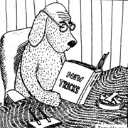 Taught an Old Dog New Tricks