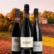 Lambrusco Grasparossa Di Castelvetro