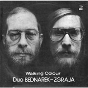 Duo Bednarek-Zgraja – Walking Colour