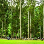 Kennedy Grove Regional Recreation Area