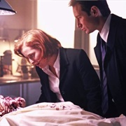 'The X-Files'