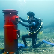 Mail a Card From an Underwater Mailbox
