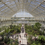 Temperate House