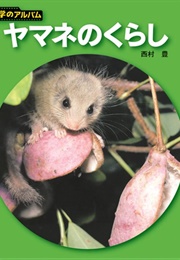 Kagaku No Album (Various)