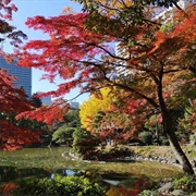 Hibiya Park, Tokyo, Japan