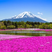 Fuji Hakone Izu National Park, Japan