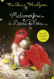 Metamorfose À Beira Do Céu (Mathias Malzieu)