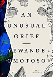An Unusual Grief (Yewande Omotoso)