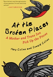 At the Broken Places (Mary Collins)