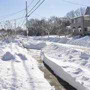 Rhode Island: "No School Fostah, Glosatah"