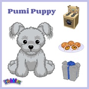 Pumi Puppy