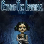Beyond the Invisible: Evening