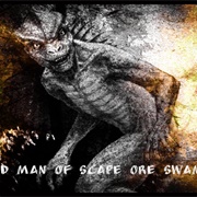 Lizard Man of Scape Ore Swamp