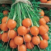 Round Market Carrots