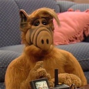 Alf (Alf)
