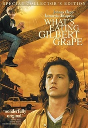 What's Eating Gilbert Grape (1993)