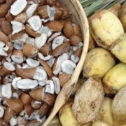 Guariroba (Syagrus Oleracea)