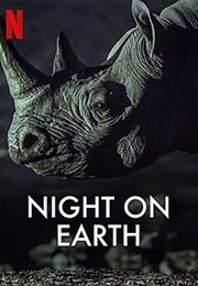 Night on Earth (2020)