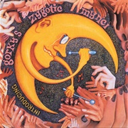 Gorky's Zygotic Mynci - Introducing