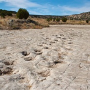 Purgatoire River Track Site