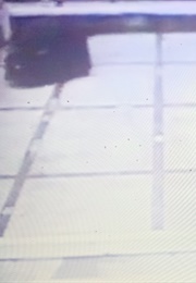 Relation in Movement (Abramovic) (1977)