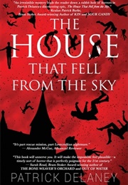 The House That Fell From the Sky (Patrick R. Delaney)
