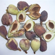Creeping Figs