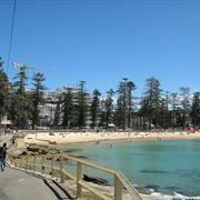 Cabbage Tree Bay
